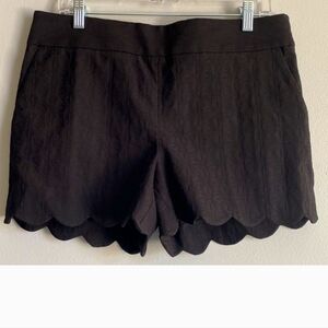 Loft Black Textured Scalloped Riveria Shorts Sz 8